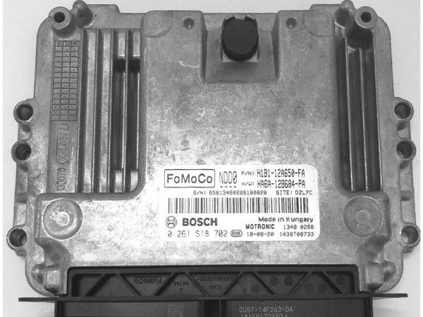 Ford Fiesta 1.0, H1B1-12A650-FA, 0261S18702, MED17.0.7, 10SW016071, H1B1-12A650-FA, HA6A-12B684-PA, H1B1 12A650 FA, HA6A 12B684 PA, NDD0, 0 261 S18 702, 0261S18702, MED17.0.7,