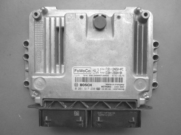 Ford Fiesta 1.0, F1B1-12A650-APC, 0261S17238, MED17.0.1, 10SW008117, F1B1-12A650-APC, F1B112A650APC, E1BA-12A650-BA, E1BA12A650BA, 0261S17238, 0 261 S17 238, MED17.0.1, HAL,