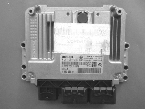 Peugeot 3008 1.6 9666325380 0261S04616 MED17.4 1037500446 10SW008903